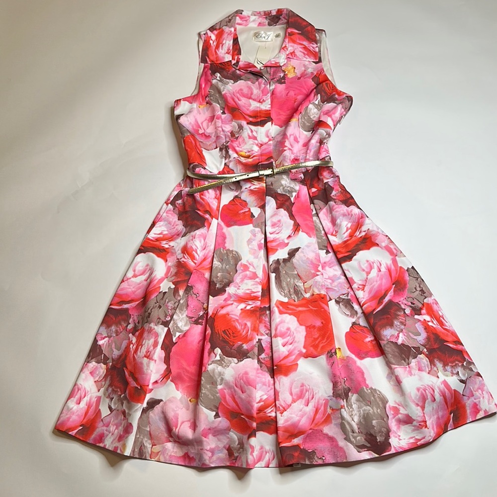 NWT Eliza J floral dress with gold belt, Size 6